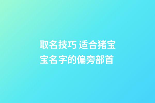 取名技巧 适合猪宝宝名字的偏旁部首